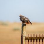 欧美人与善在线com 180j0