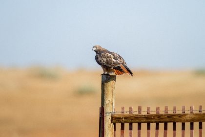 欧美人与善在线com 欧美人与善在线com
