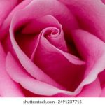 曰本老太做爰 1alb6