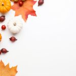 欧美午夜不卡在线观看 1hzsl