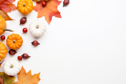 欧美午夜不卡在线观看 欧美午夜不卡在线观看