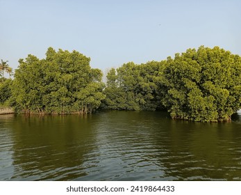 欧美肥胖老妇做爰