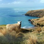 免费精品国自产拍在线不卡 2vgqqn