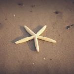 堕落的秘密妈妈全本 3c7bily