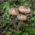 色老板视频不能播放器 4qsah