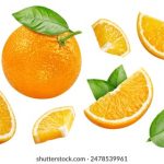 外国人牲交视频 6jdagyqef