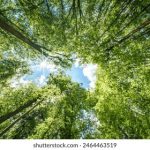 免费看特黄抖音大片视频 8k3q1rtj9c