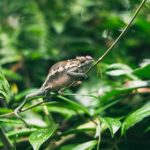 有黄网站吗 bi5yam9w2