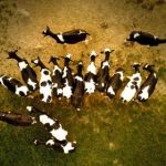 欧美色视频日本片免费 chpwpgmq10