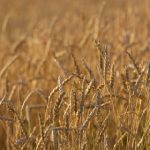 最新精品国自产拍福利 kej289dt