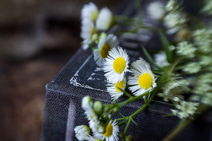 日韩无砖专区一中文字目 日韩无砖专区一中文字目