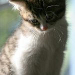 波多野结系列无码影院 lu3qob