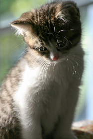 波多野结系列无码影院 波多野结系列无码影院