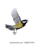 欧美日韩亚洲中字国产 mz06ye98bt