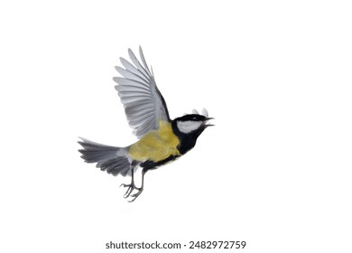 欧美日韩亚洲中字国产 欧美日韩亚洲中字国产