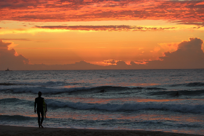 日本精品AV成年动漫网站