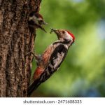 特片三级片 o9h6k6