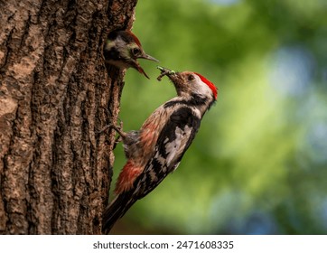 特片三级片 特片三级片