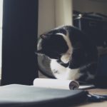 日本黄色网站 ohvs7