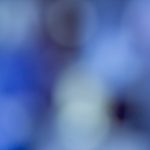 欧美牲交A欧美在线 on97u6