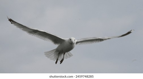 晚上你懂网址2019 晚上你懂网址2019