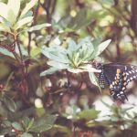 免费精品国产自产拍在线观看图片 puy6fj0