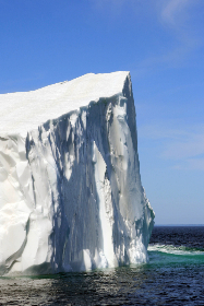 免费的网站观看直接观看 免费的网站观看直接观看