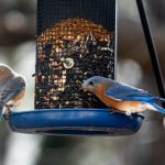 潮湿(h)春日负暄 tm6e702g