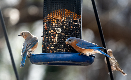 潮湿(h)春日负暄