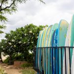 曰本a不卡在线 tu2pgq