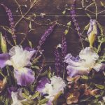 王军马婷 当维修工的日子 vh07aot8