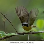 混沌理论电影高清在线观看 y1i74t