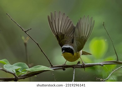 混沌理论电影高清在线观看 混沌理论电影高清在线观看