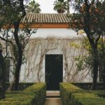 初恋时间在线观看火狼:重温青春岁月,感受初恋的甜蜜与苦涩 7y6mh