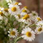 伦理版H人猿泰山:探讨人性与野性的深层交融与冲突 8y11b5e