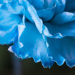 toontrack:探索 Toontrack 的音乐制作软件与音色库的无限可能性 gz6jx79oz4