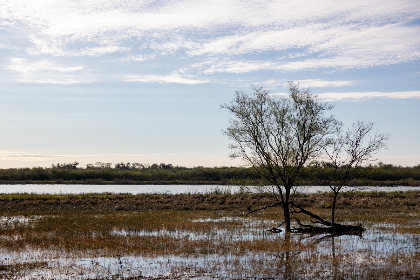 国内玩VK是否违法?法律风险与用户指南解析 国内玩VK是否违法?法律风险与用户指南解析