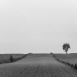 toptoon life:探索顶尖漫画平台的精彩世界与创作之旅 p907n