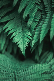 Tony Taylor在TikTok上的精彩瞬间与创意分享 Tony Taylor在TikTok上的精彩瞬间与创意分享