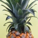 哔咔漫画网页版:畅享海量漫画资源,随时随地尽情阅读 wcrcv8iqt