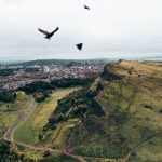 南充职业技术学院官网:探索职业教育新模式,助力学子成才之路 x9v0z6ap